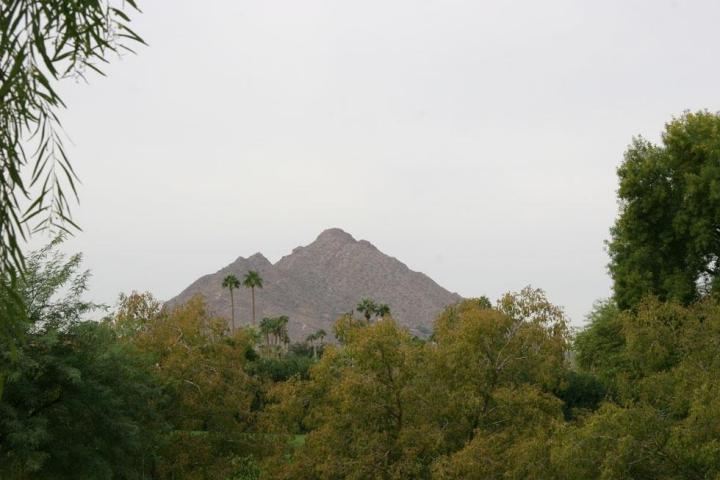 7840 E Camelback Rd. #210, Scottsdale, AZ 85251