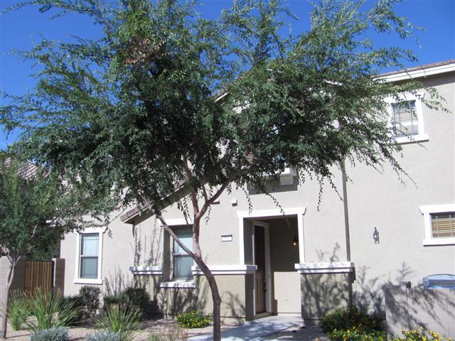 1255 S Rialto #97, Mesa, AZ 85209