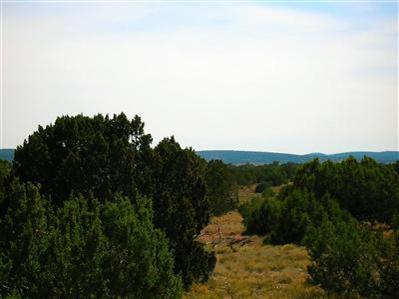 Lot 545 Green View Ranches #545, Seligman, AZ 86337