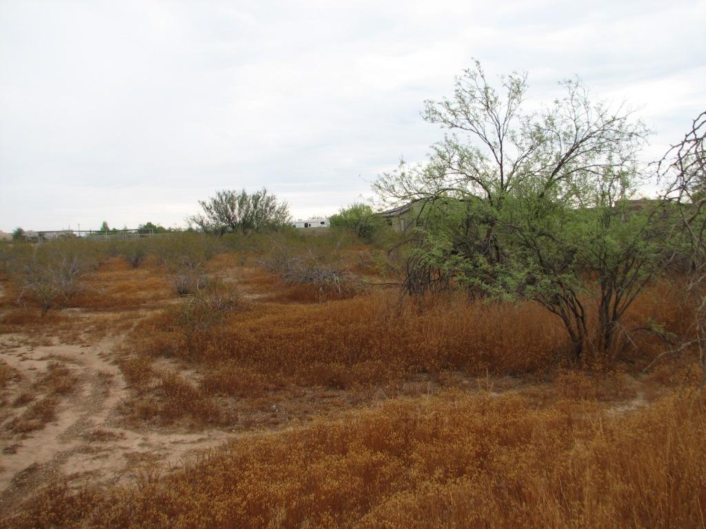 35021 N 12th St., Phoenix, AZ 85086