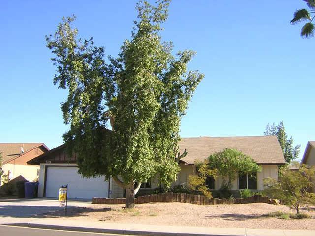 3119 N Ellis St., Chandler, AZ 85224