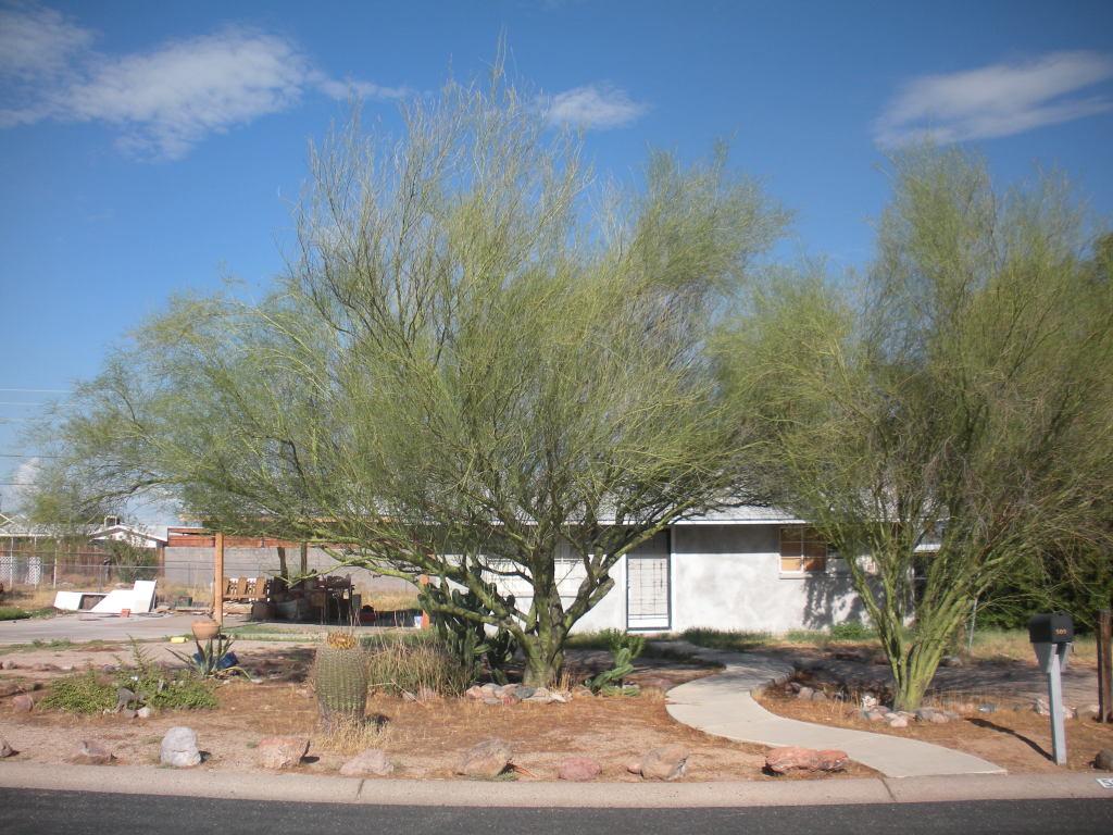 509 N 97th St., Mesa, AZ 85207