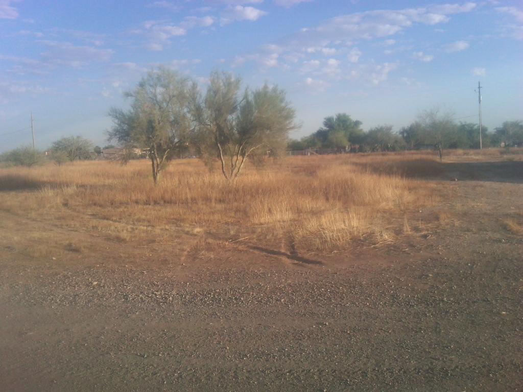 36440 N 21st St. #1, Phoenix, AZ 85086