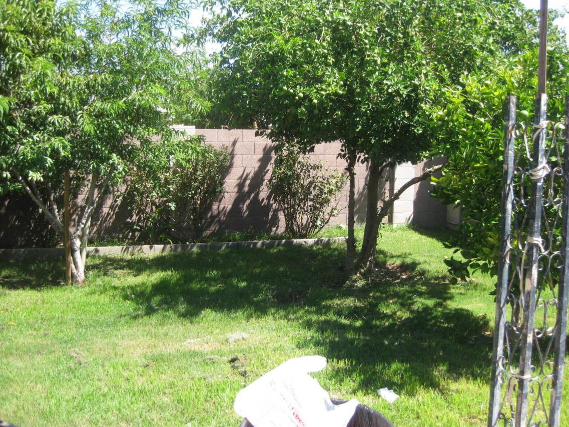 7224 W Cambridge Ave., Phoenix, AZ 85035