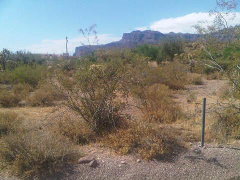 9914 E Lazy K Rd. #014, Gold Canyon, AZ 85118