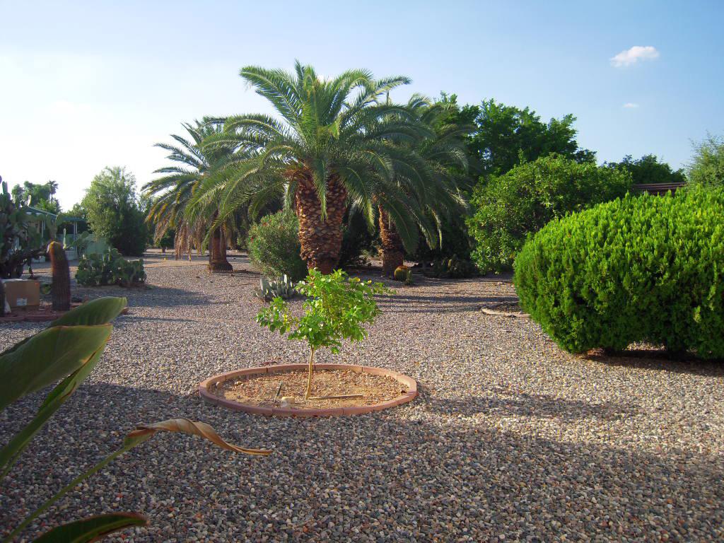 10630 W Sequoia Dr., Sun City, AZ 85373