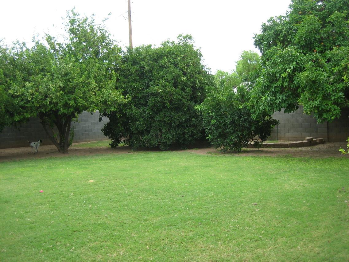 647 E Kino Dr., Mesa, AZ 85203