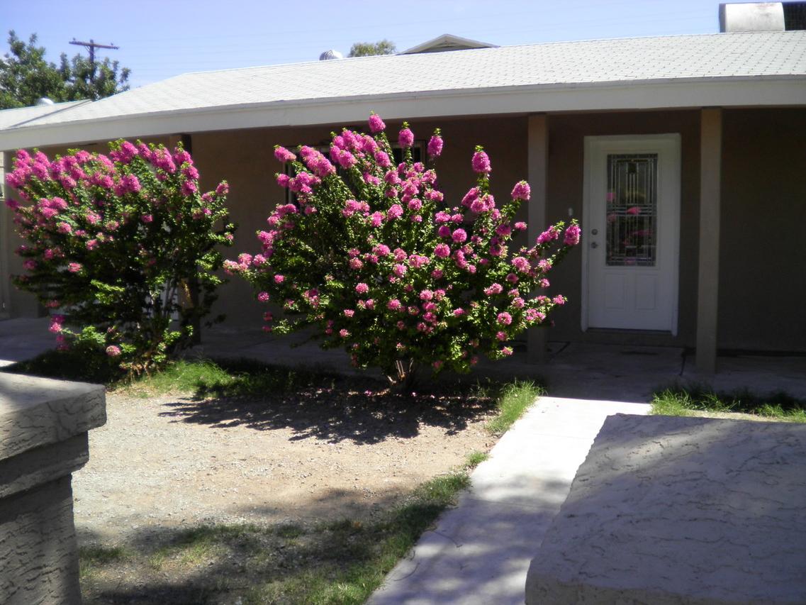 4809 N 70th Dr., Phoenix, AZ 85033