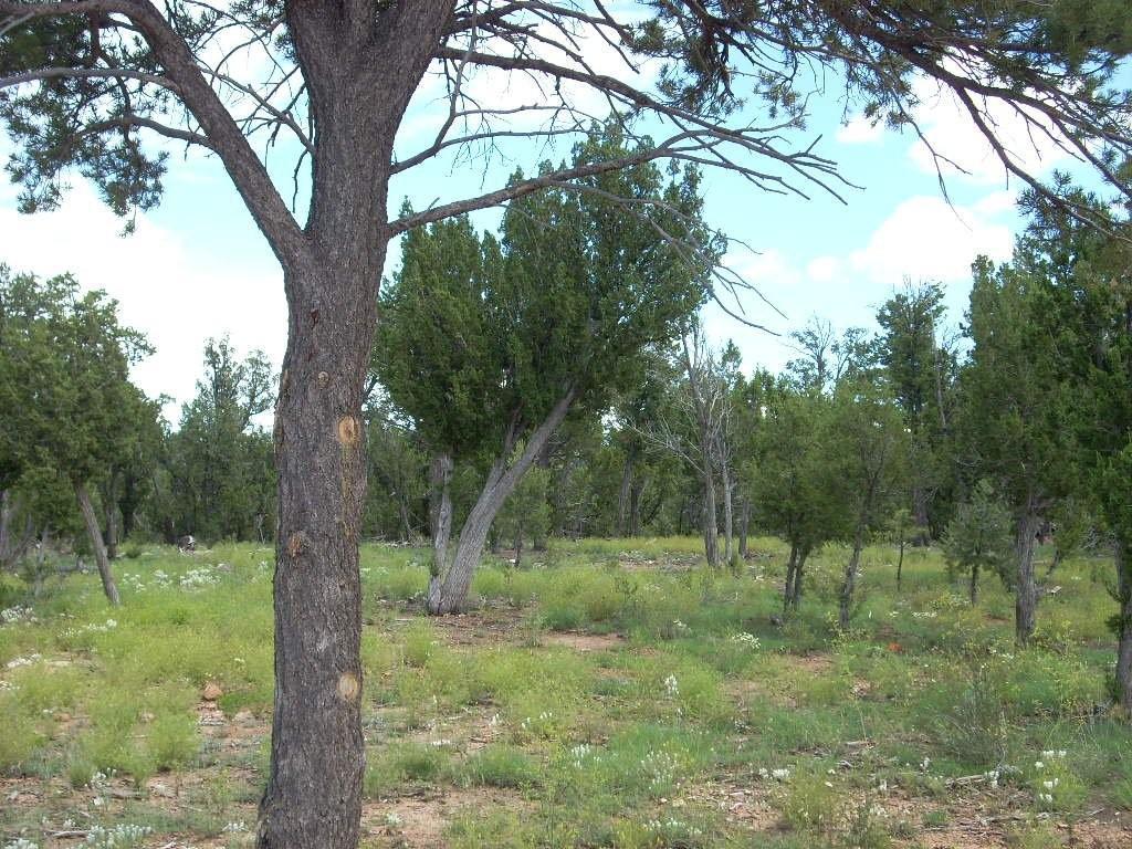 3326 Fall Court #115, Heber, AZ 85928