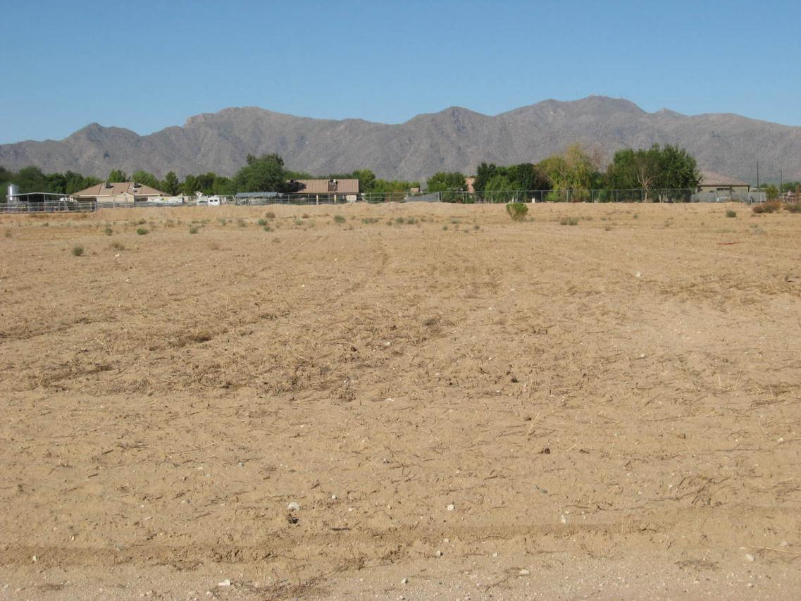 78xx N Cotton Ln. #4770 A & B, Waddell, AZ 85355