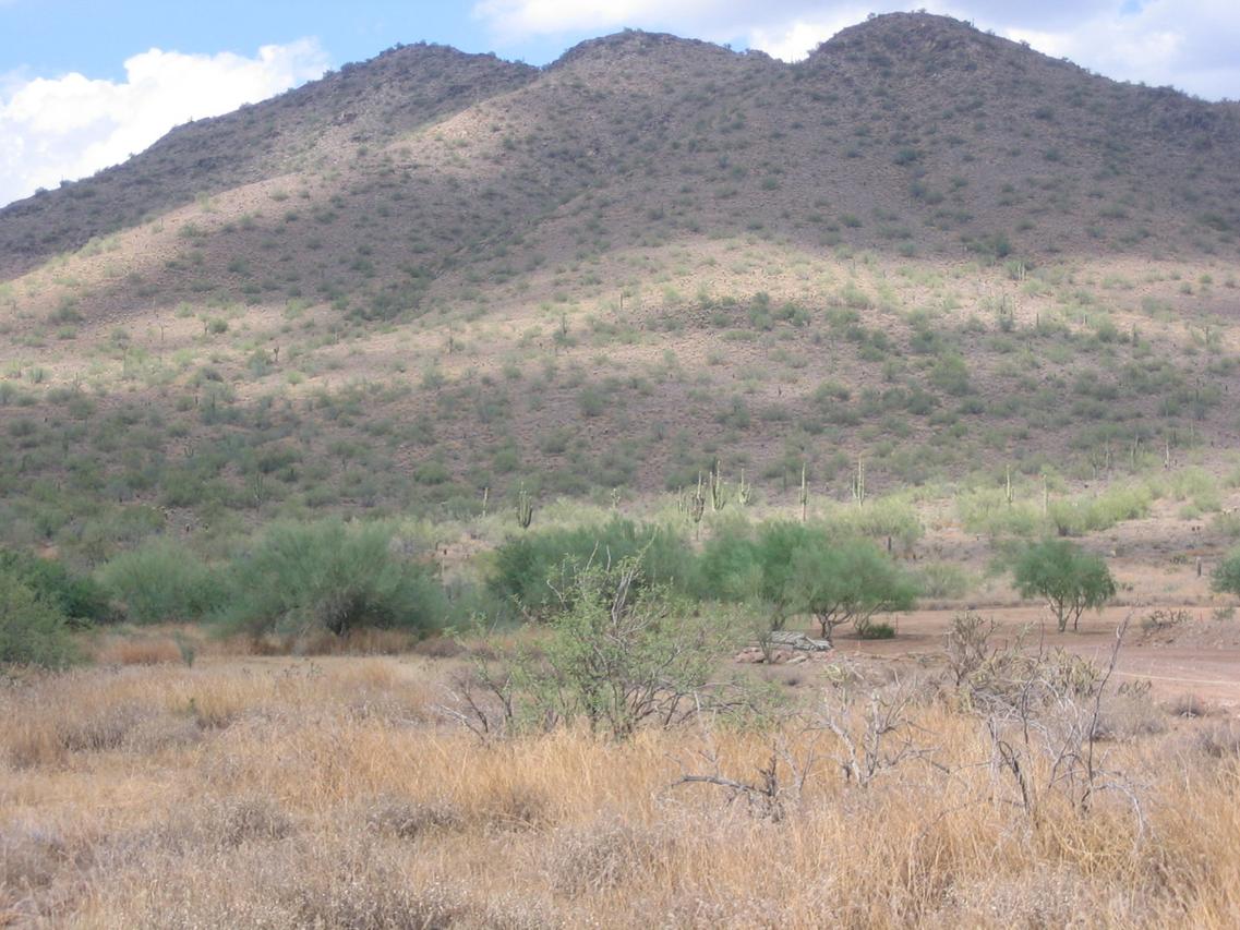 4030 E Galvin St. #n/a, Cave Creek, AZ 85331