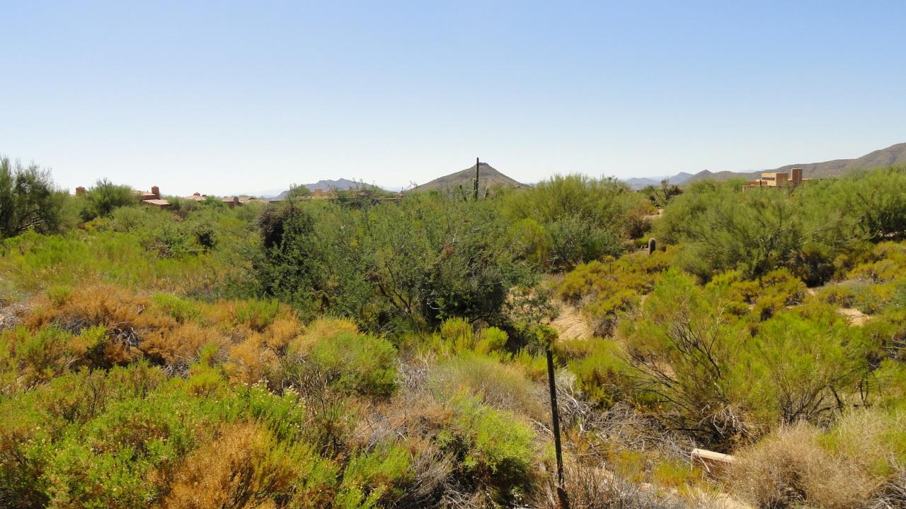 40138 N 107th Pl. #167, Scottsdale, AZ 85262