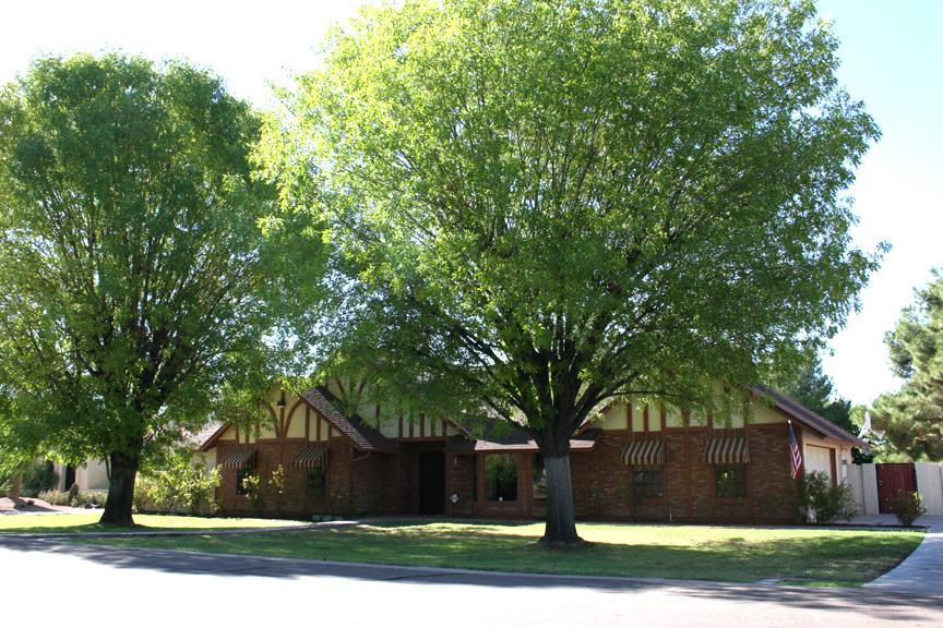 1527 E Louis Way, Tempe, AZ 85284