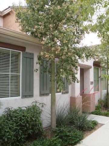 10238 E Isleta Ave., Mesa, AZ 85209