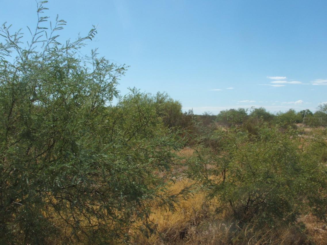 Lot 4 W Buckeye Rd. #5, Tonopah, AZ 85354
