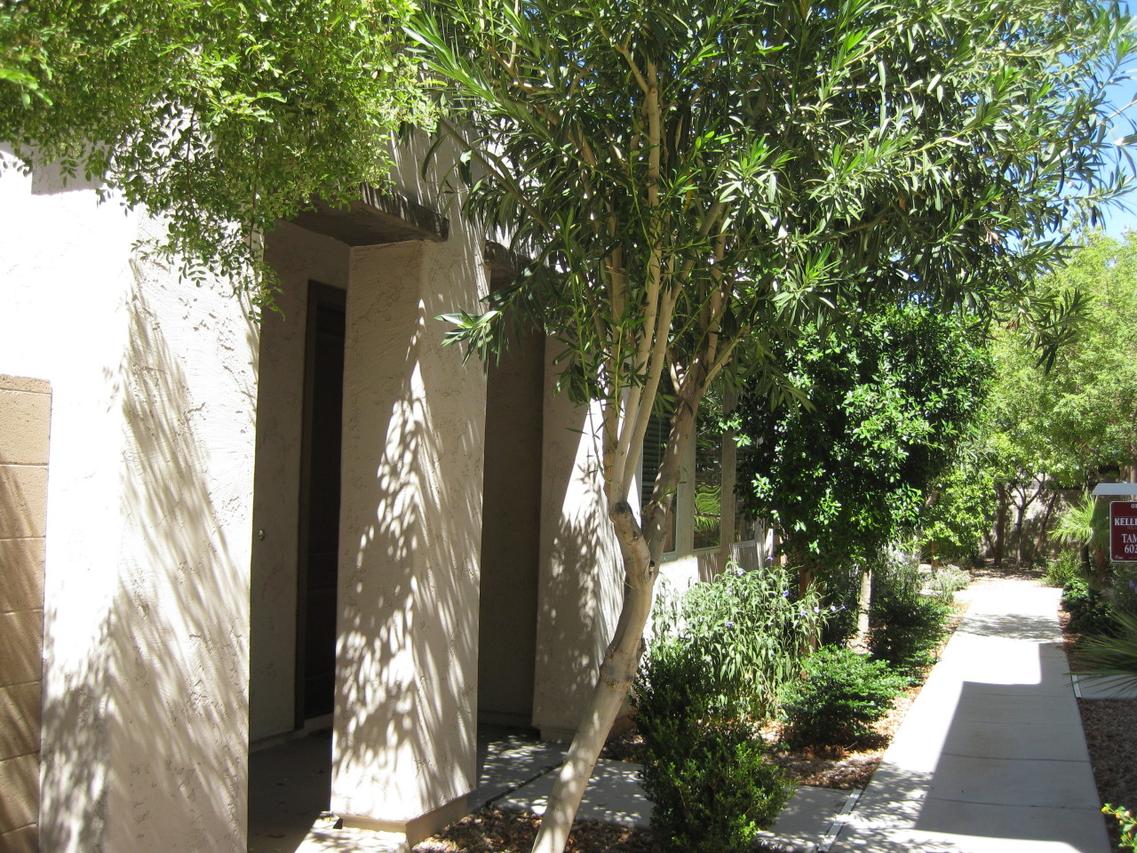 10252 E Isleta Ave., Mesa, AZ 85209