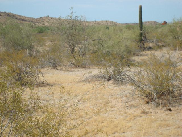 9559 S San Marcos Dr. #15, Goodyear, AZ 85338