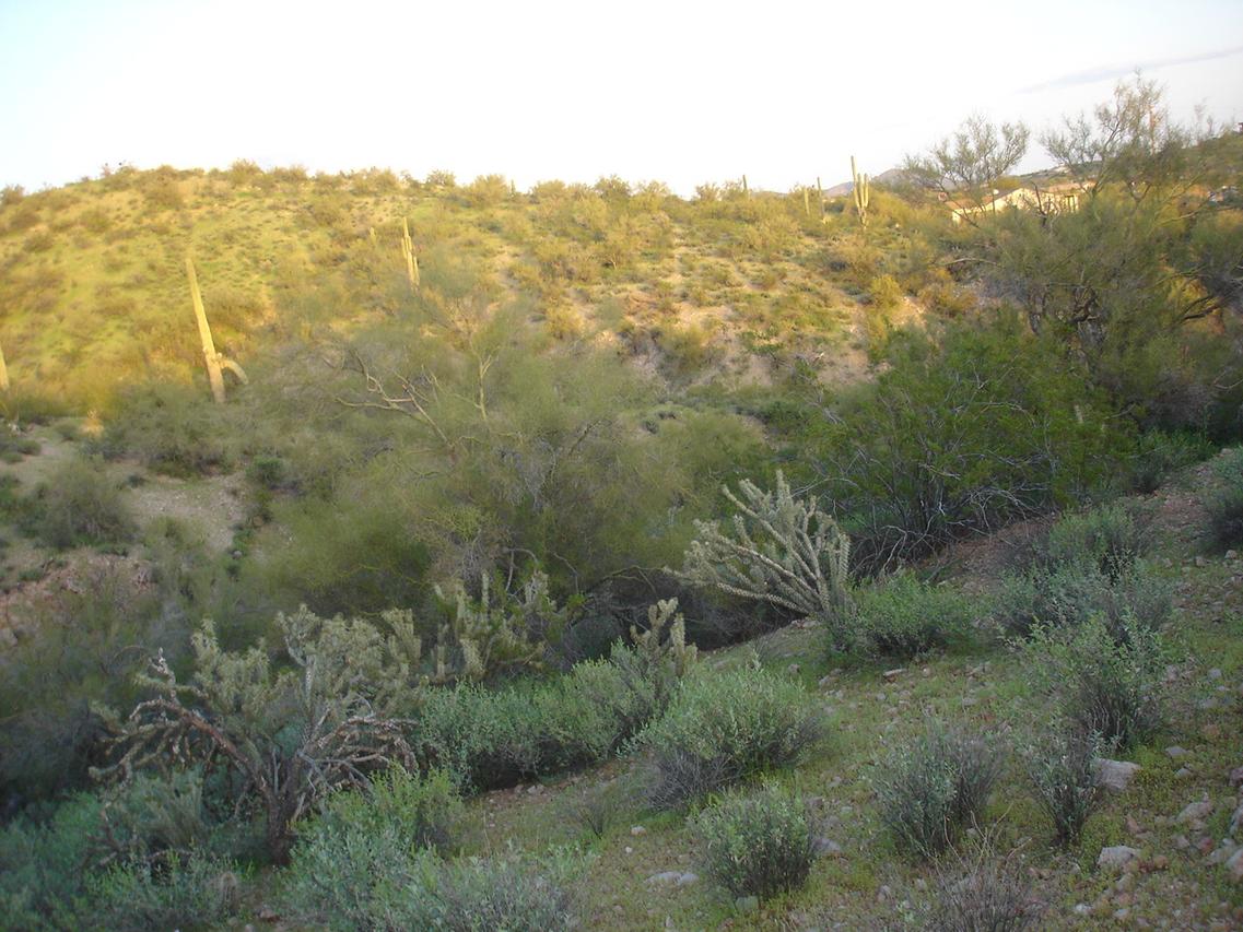 51805 N Mockingbird Tr., Wickenburg, AZ 85390