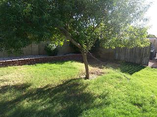 7245 E Dewberry Ave., Mesa, AZ 85208