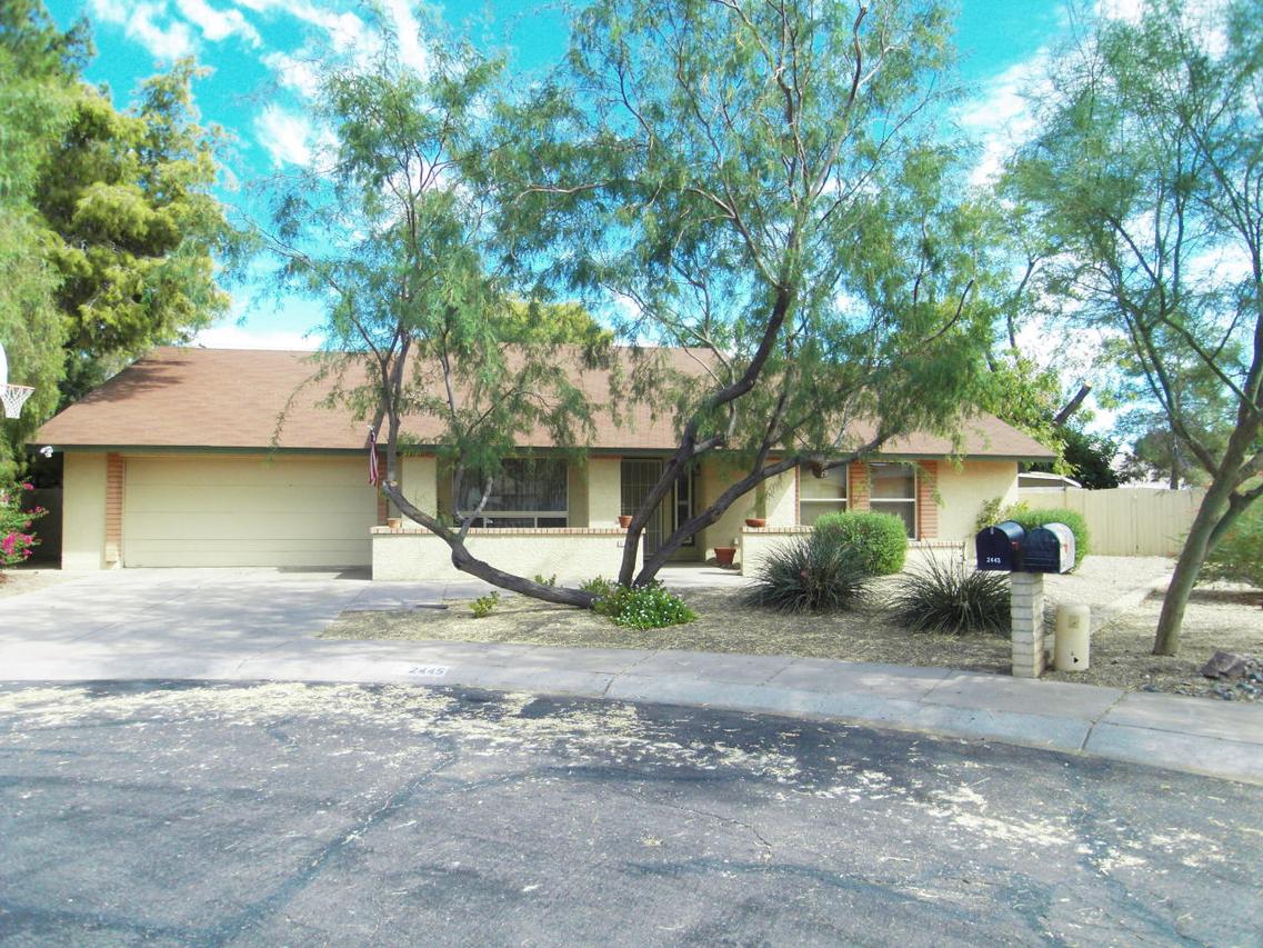 2445 S Catarina, Mesa, AZ 85202