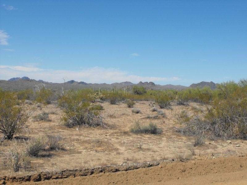 W Rising Star, Morristown, AZ 85342