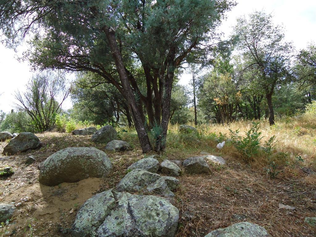 1577 W Pine Cone Way #8, Prescott, AZ 86303