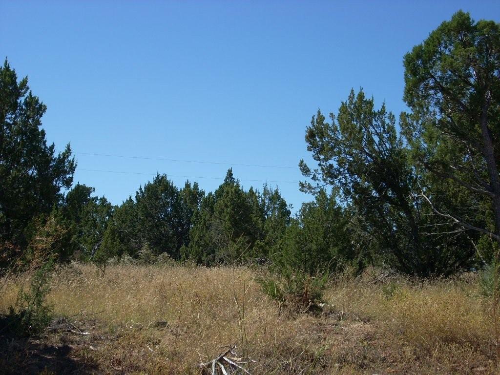 3319 Sawmill Ridge Loop #107, Heber, AZ 85928