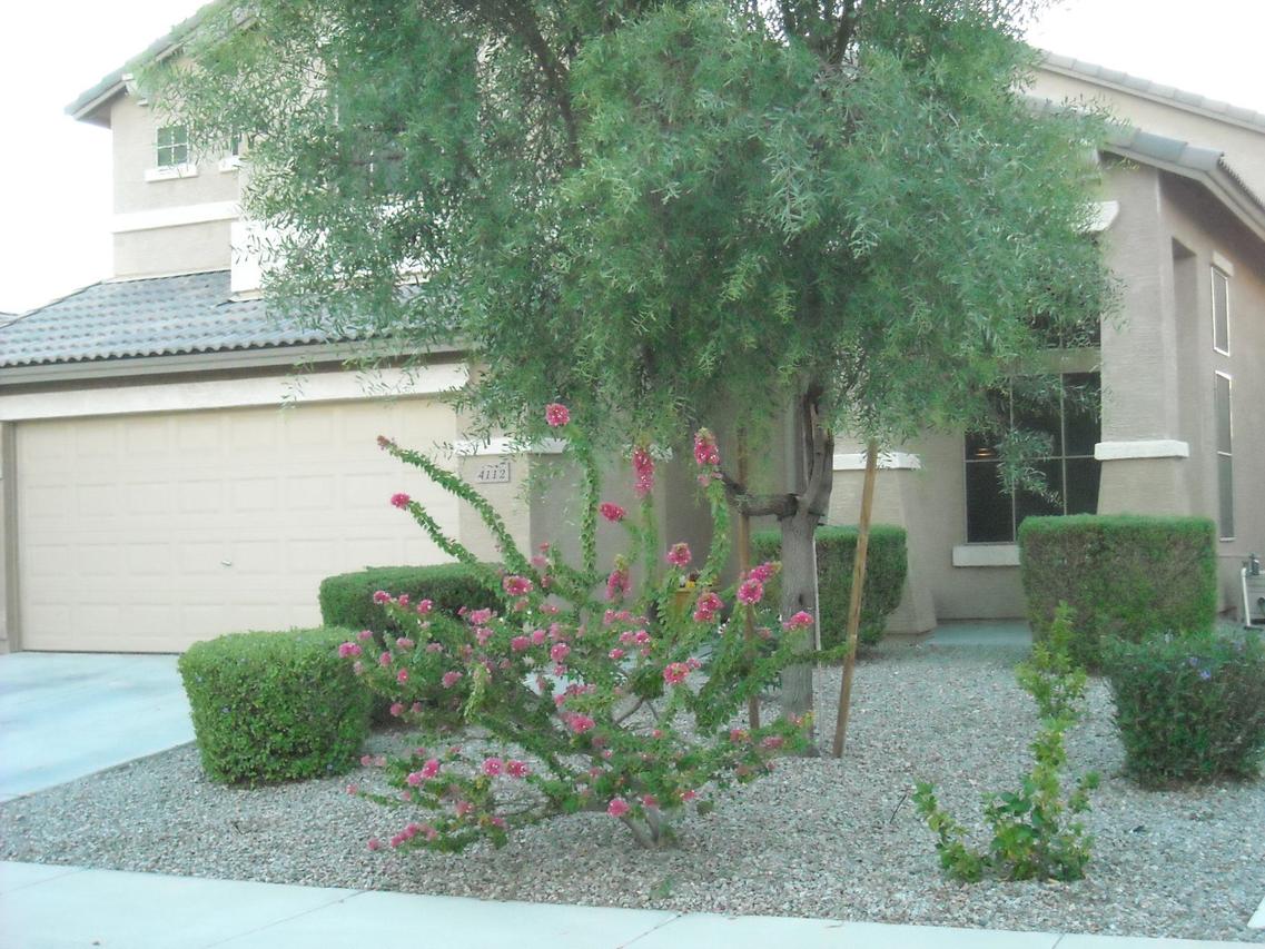 4112 S 249th Dr., Buckeye, AZ 85326