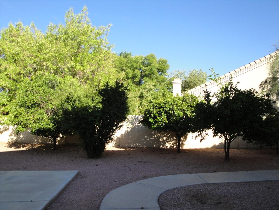 5890 W Orchid Ln., Chandler, AZ 85226