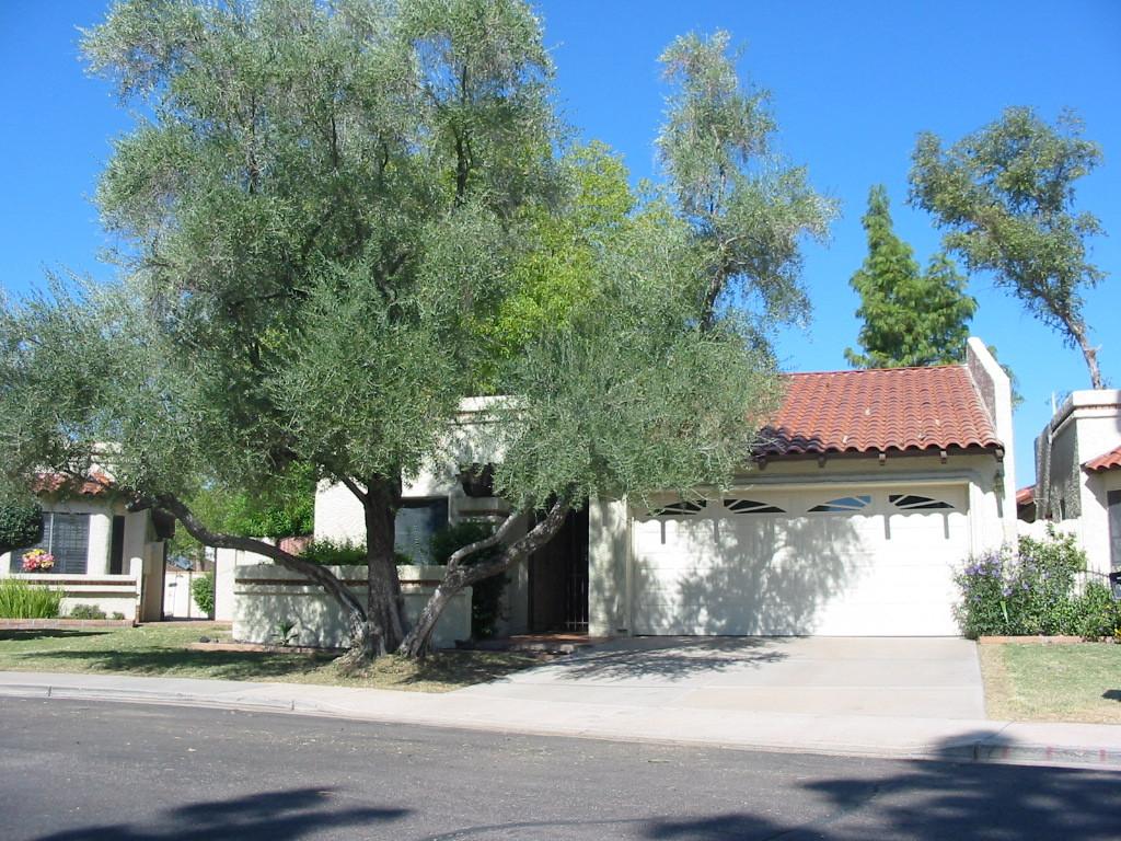 2126 W Navarro Ave., Mesa, AZ 85202