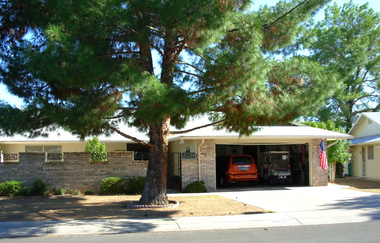 19021 N Signal Butte Cir., Sun City, AZ 85373