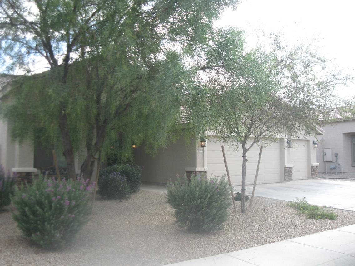 43231 W Griffis Dr., Maricopa, AZ 85138