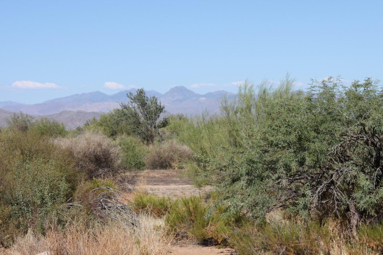 303xx E Windstone Tr. #219-41-131M, Scottsdale, AZ 85262