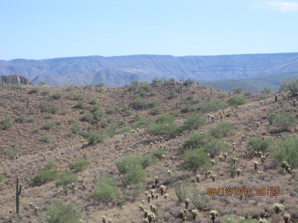 408XX N 12 St. #211-71-027F, Phoenix, AZ 85086