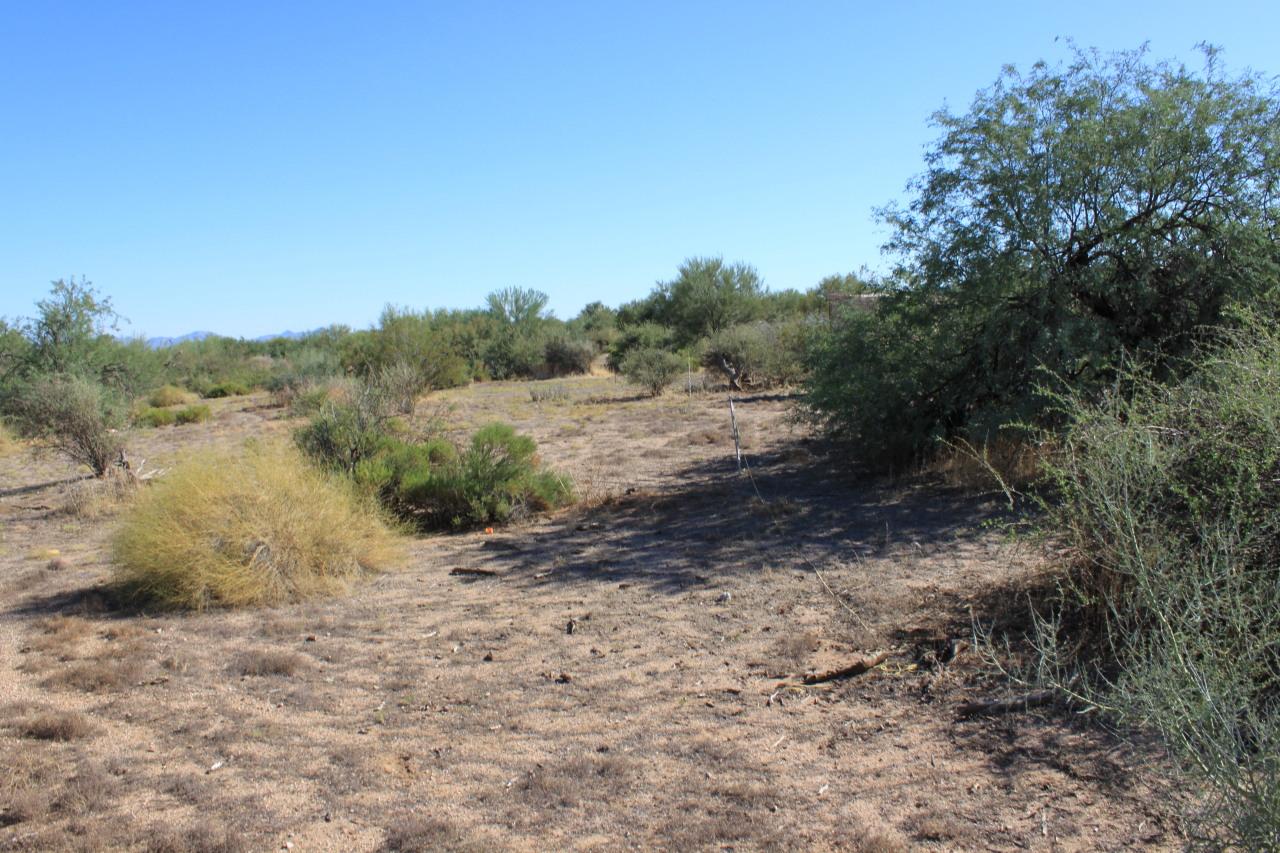 29700 N 156th St. #219-37-035R, Scottsdale, AZ 85262