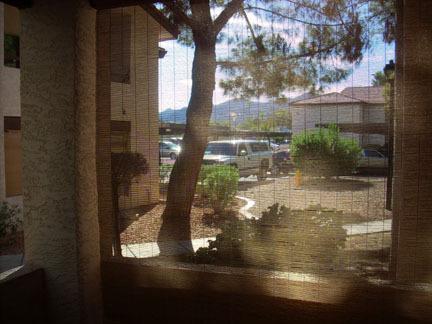 10610 S 48th St. #1103, Phoenix, AZ 85044