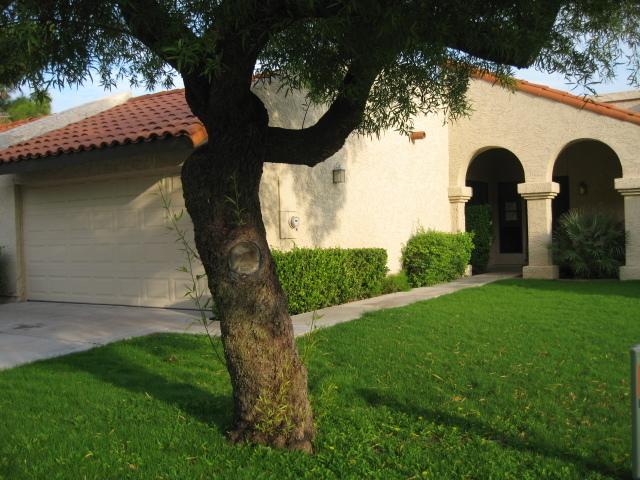 11753 N 93rd St., Scottsdale, AZ 85260