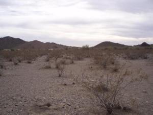 153xx W Desert Vista Tr., Surprise, AZ 85387