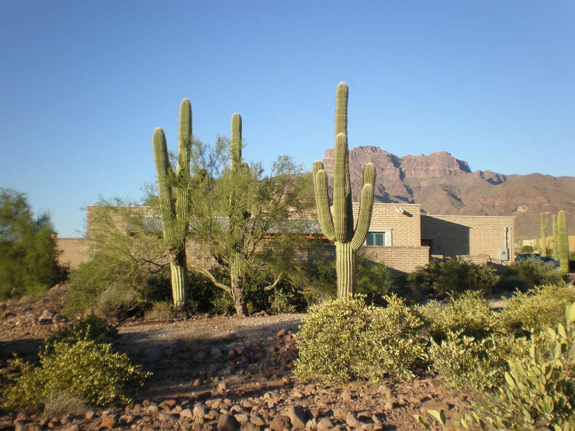 1098 S Barkley Rd., Apache Junction, AZ 85119