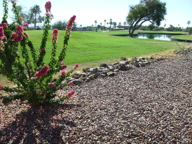 18801 E Chinle Dr., Rio Verde, AZ 85263