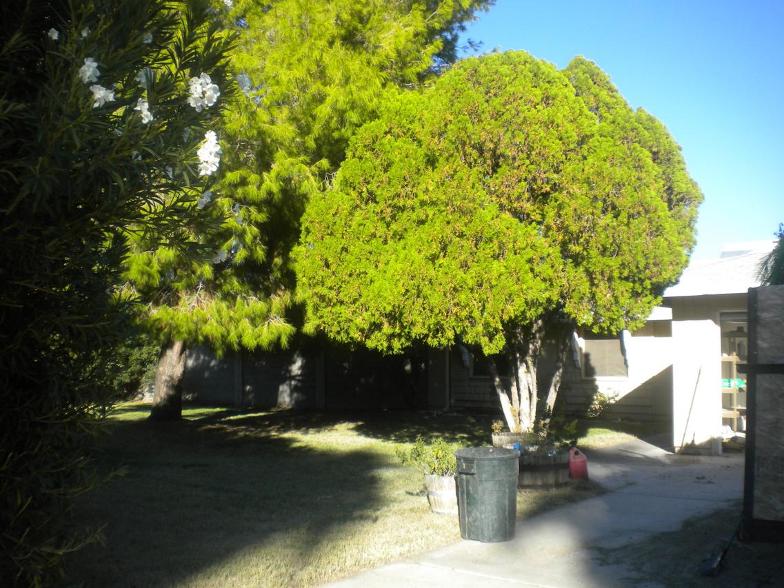 15235 N 40th Ln., Phoenix, AZ 85053