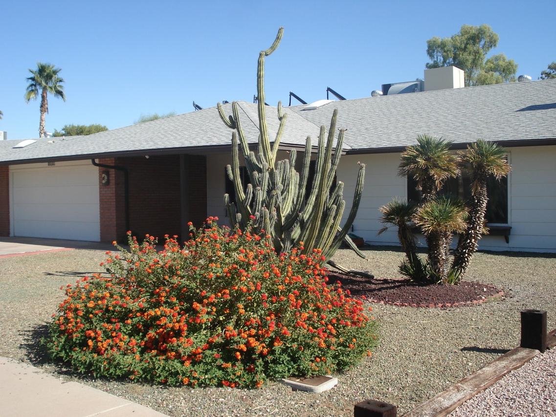 11019 S Tomah St., Phoenix, AZ 85044