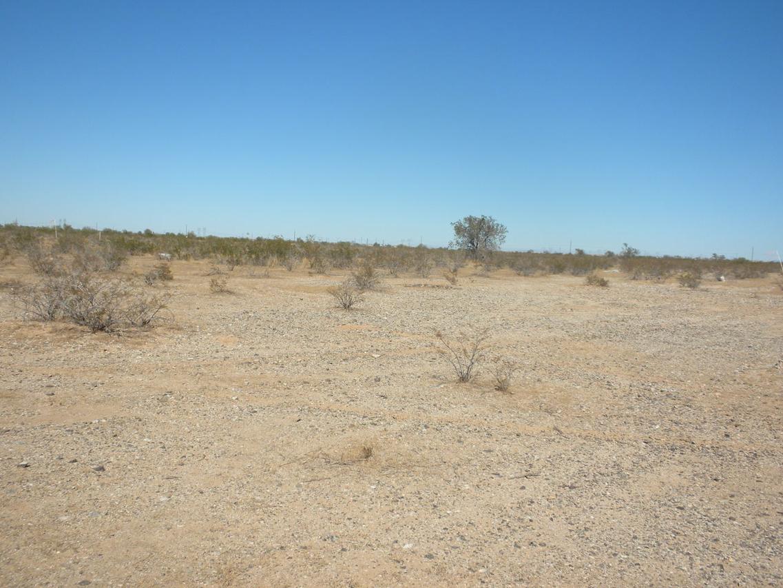 29751 W Mcdowell Rd. #B, Buckeye, AZ 85326