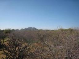 1399x E Casey Ln. #219-39-015K, Scottsdale, AZ 85262