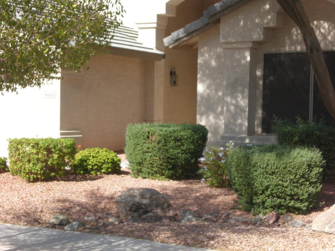 16648 W Adams St., Goodyear, AZ 85338