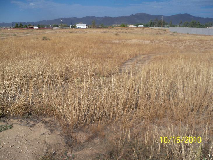 2 Tara Estates, Waddell, AZ 85355