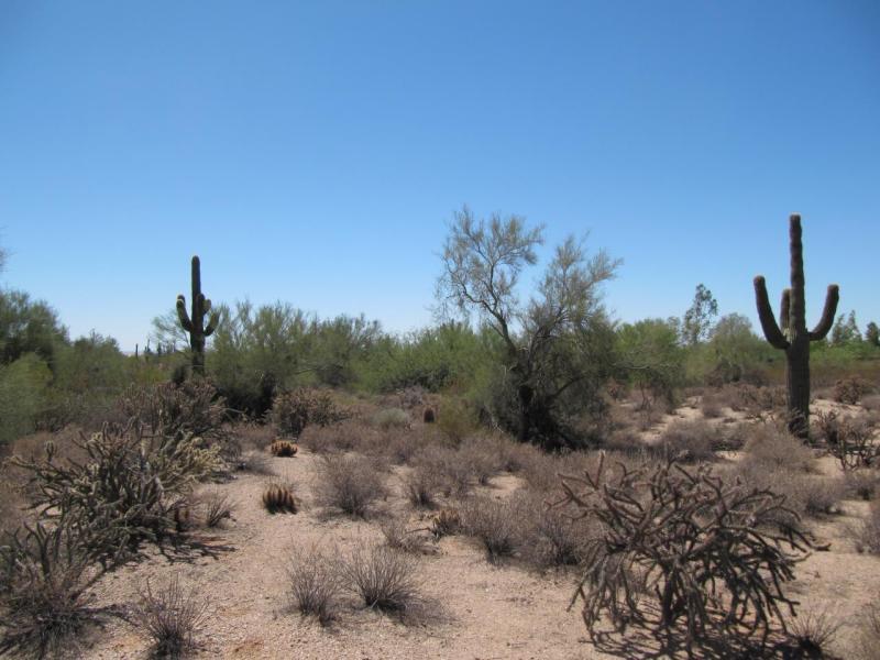 30400 N Scottsdale Rd., Scottsdale, AZ 85262