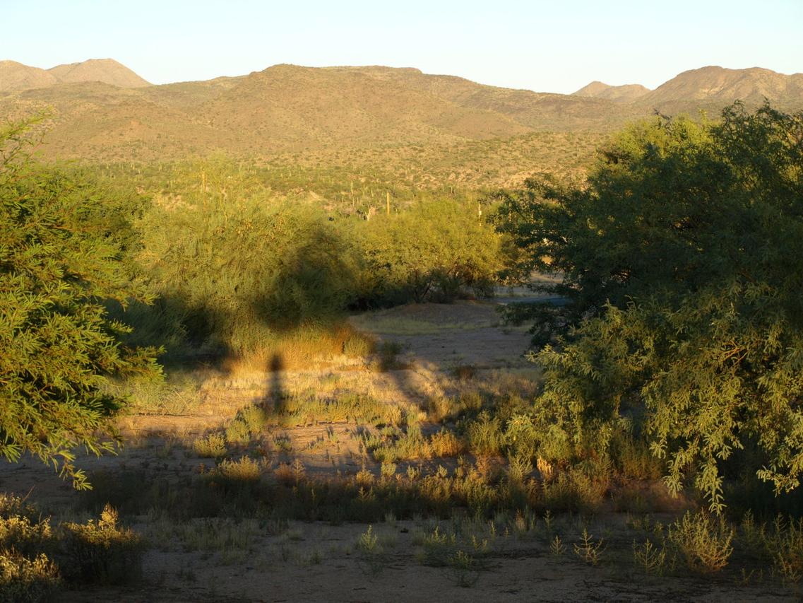 19142 E Tonto Verde Ct. #582, Rio Verde, AZ 85263