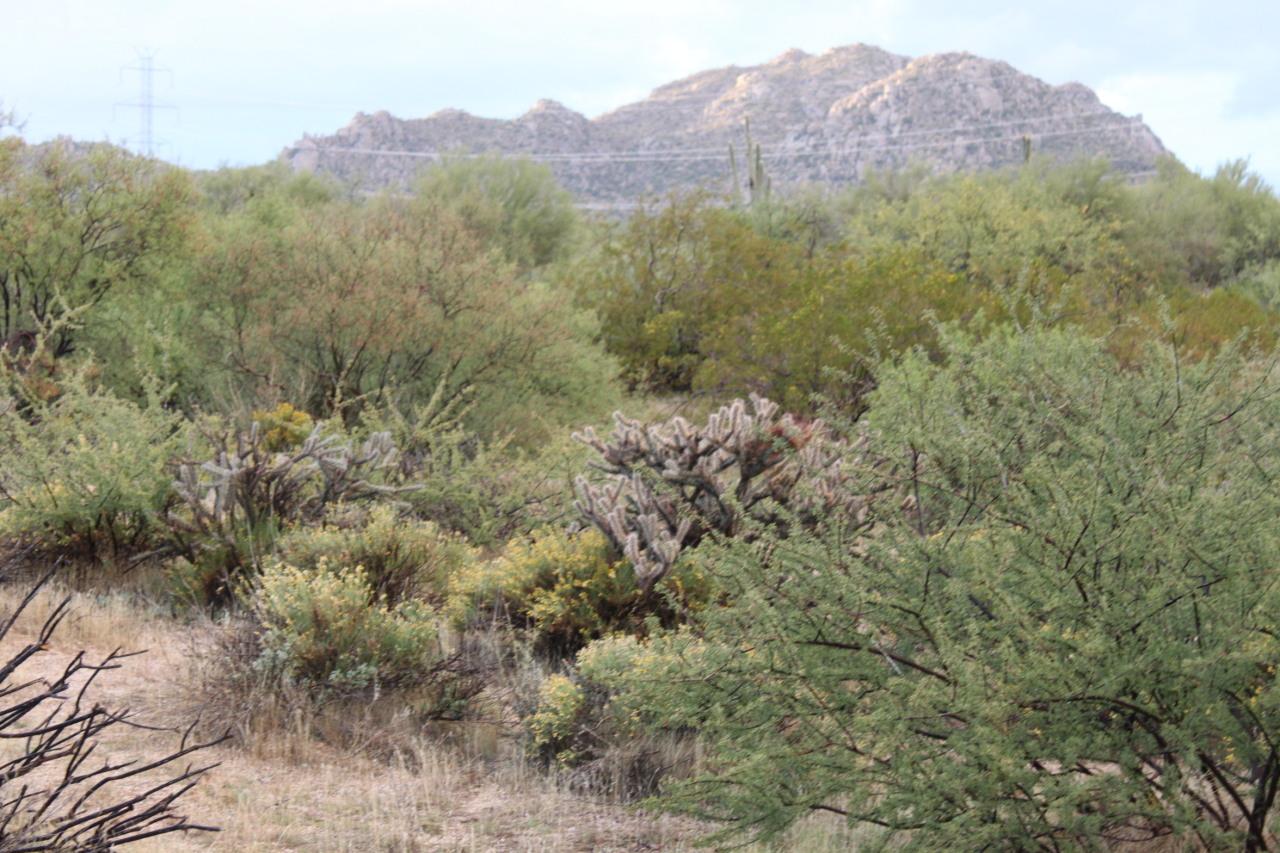 1400x E Rancho Del Oro Ct. #92, Scottsdale, AZ 85262