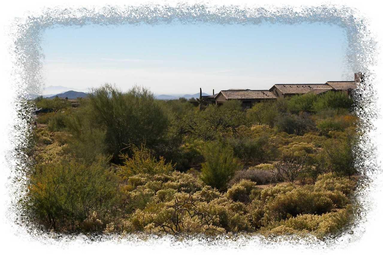 10925 E Sundance Tr. #99, Scottsdale, AZ 85262